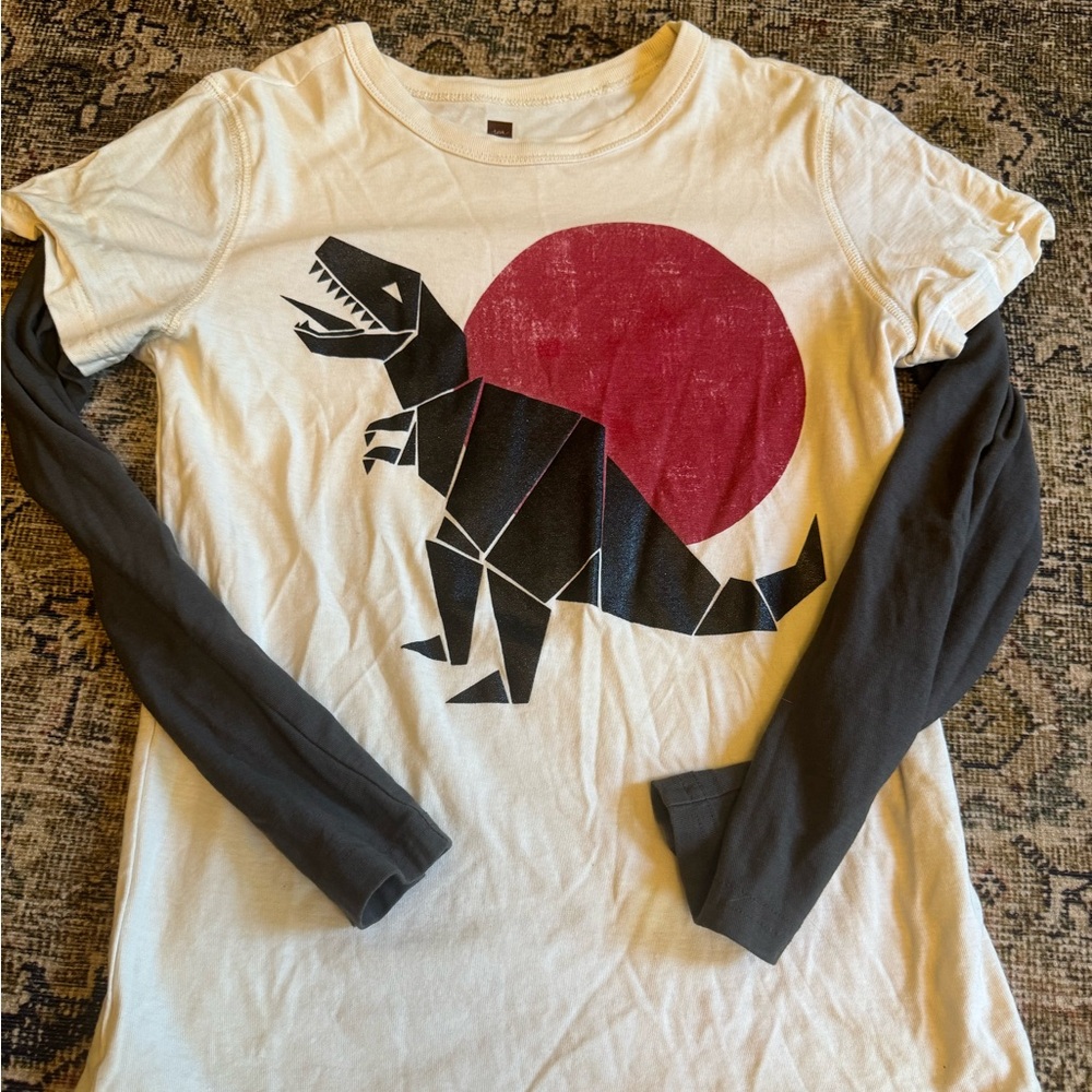 Boys Long Sleeved Dinosaur Shirt By Tea Collection 10